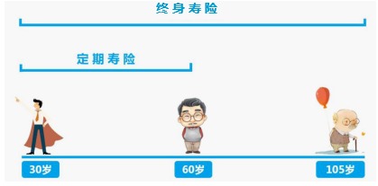男性保險怎麼買
