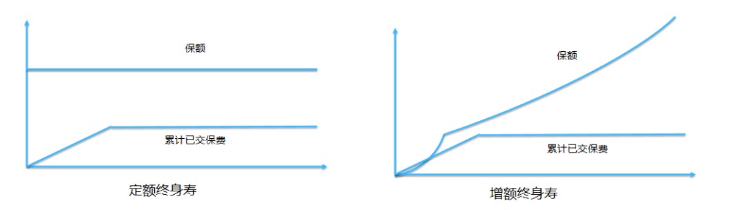 同樣的保障為什麼我買的壽險貴了10倍？