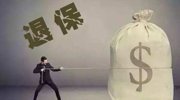 買的保險不想續保了能退嗎？