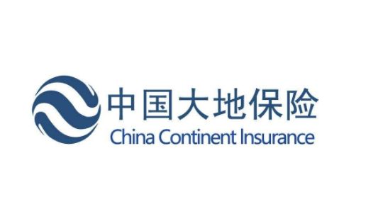 大地車險口碑怎麼樣