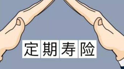 定期壽險適合什麼人？