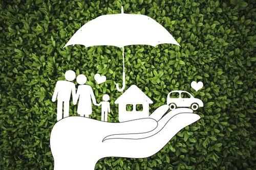 如何快速看懂保險合同，隻要五分鍾