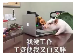 發生車禍如何快速理賠？