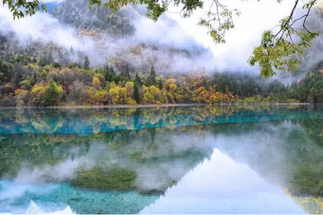 麵對地震該如何自保